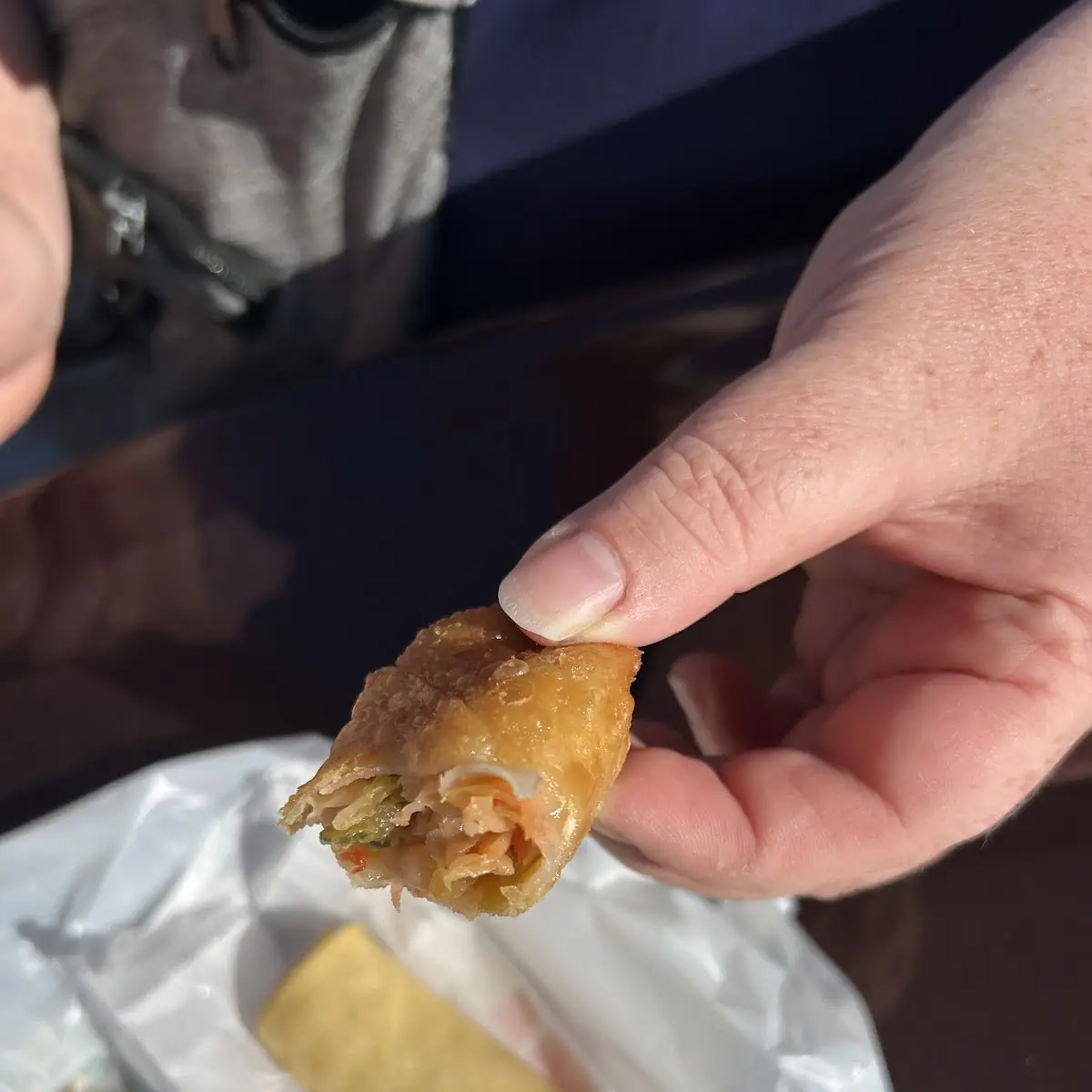 Roast Pork Egg Roll 1 春卷